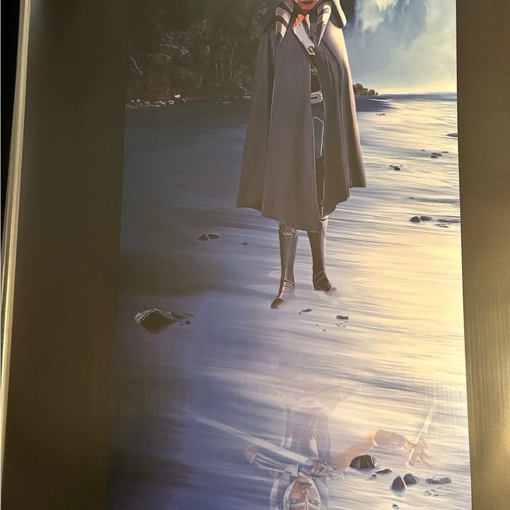 Star Wars Character Poster